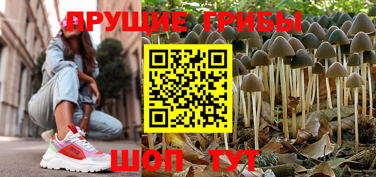 дарнет шоп  Псилоцибиновые грибы Psilocybine cubensis  Вход с VPN  Богородицк 