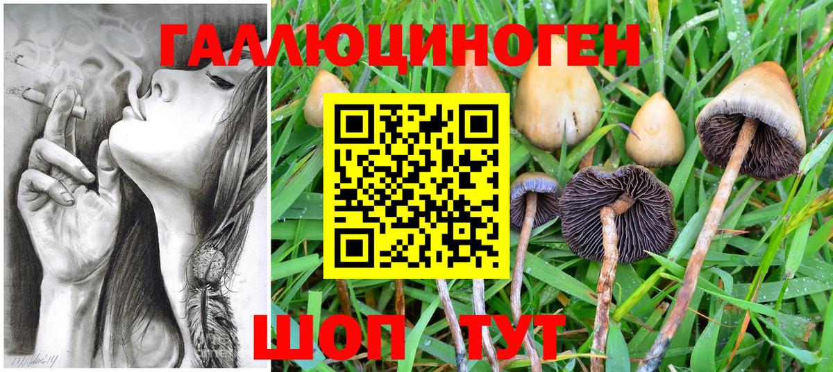 Псилоцибиновые грибы Psilocybine cubensis Богородицк